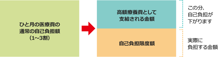 ひと月の医療費の通常の自己負担額(1~3割) 高額療養費として支給される金額 自己負担限度額
